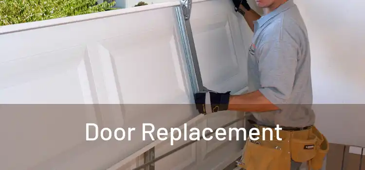  Door Replacement 